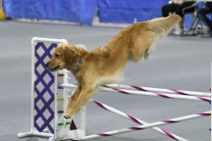 051-SAAC-AKC-25Aug19-Prem-JWW