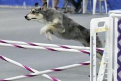 055-SAAC-AKC-25Aug19-Prem-JWW