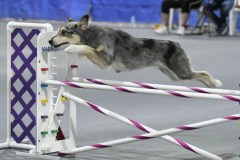 056-SAAC-AKC-25Aug19-Prem-JWW