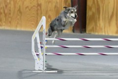 059-SAAC-AKC-25Aug19-Prem-JWW