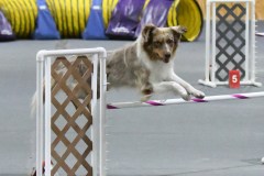 063-SAAC-AKC-25Aug19-Prem-JWW