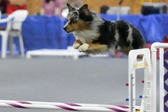 066-SAAC-AKC-25Aug19-Prem-JWW