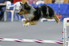 067-SAAC-AKC-25Aug19-Prem-JWW