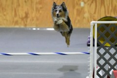 068-SAAC-AKC-25Aug19-Prem-JWW
