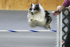 071-SAAC-AKC-25Aug19-Prem-JWW