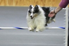 072-SAAC-AKC-25Aug19-Prem-JWW