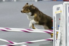 075-SAAC-AKC-25Aug19-Prem-JWW