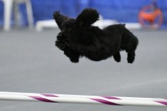 094-SAAC-AKC-25Aug19-Prem-JWW