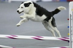 108-SAAC-AKC-25Aug19-Prem-JWW
