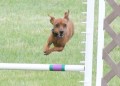 30-SAAC-ExMstr-JWW-12-4-13Jun20