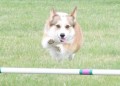 37-SAAC-ExMstr-JWW-12-4-13Jun20