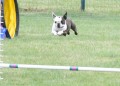 40-SAAC-ExMstr-JWW-12-4-13Jun20