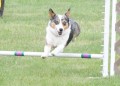 64-SAAC-ExMstr-JWW-12-4-13Jun20