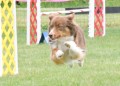 25-SAAC-ExMstr-JWW-16-13Jun20