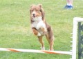 28-SAAC-ExMstr-JWW-16-13Jun20