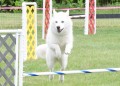30-SAAC-ExMstr-JWW-16-13Jun20
