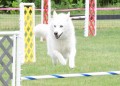 31-SAAC-ExMstr-JWW-16-13Jun20