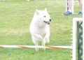 34-SAAC-ExMstr-JWW-16-13Jun20