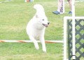 35-SAAC-ExMstr-JWW-16-13Jun20