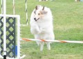 39-SAAC-ExMstr-JWW-16-13Jun20