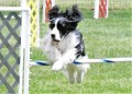 40-SAAC-ExMstr-JWW-16-13Jun20