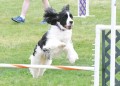 41-SAAC-ExMstr-JWW-16-13Jun20