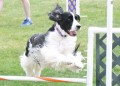 42-SAAC-ExMstr-JWW-16-13Jun20