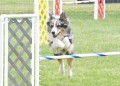 43-SAAC-ExMstr-JWW-16-13Jun20