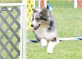 44-SAAC-ExMstr-JWW-16-13Jun20