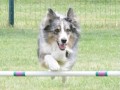 46-SAAC-ExMstr-JWW-16-13Jun20