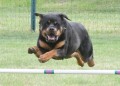50-SAAC-ExMstr-JWW-16-13Jun20