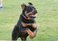 51-SAAC-ExMstr-JWW-16-13Jun20