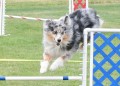 25-SAAC-FAST-16-13Jun20