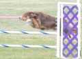 30-SAAC-FAST-16-13Jun20