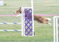 33-SAAC-FAST-16-13Jun20