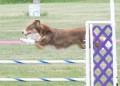 34-SAAC-FAST-16-13Jun20