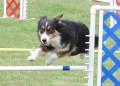 41-SAAC-FAST-16-13Jun20