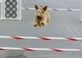 07-SAAC-FAST-ALL-12-4-11Jan20