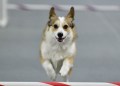 23-SAAC-FAST-ALL-12-4-11Jan20