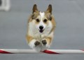 24-SAAC-FAST-ALL-12-4-11Jan20
