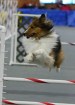 58-SAAC-FAST-ALL-24-20-11Jan20