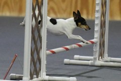 03-SKC_MHKA-Open-Novice-JWW-11Oct19