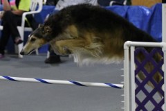 15-SKC_MHKA-Open-Novice-JWW-11Oct19