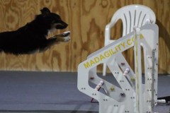 22-SKC_MHKA-Open-Novice-JWW-11Oct19