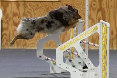 35-SKC_MHKA-Open-Novice-JWW-11Oct19