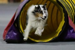 028-T2TQ-Jumpers-345C-9Nov19